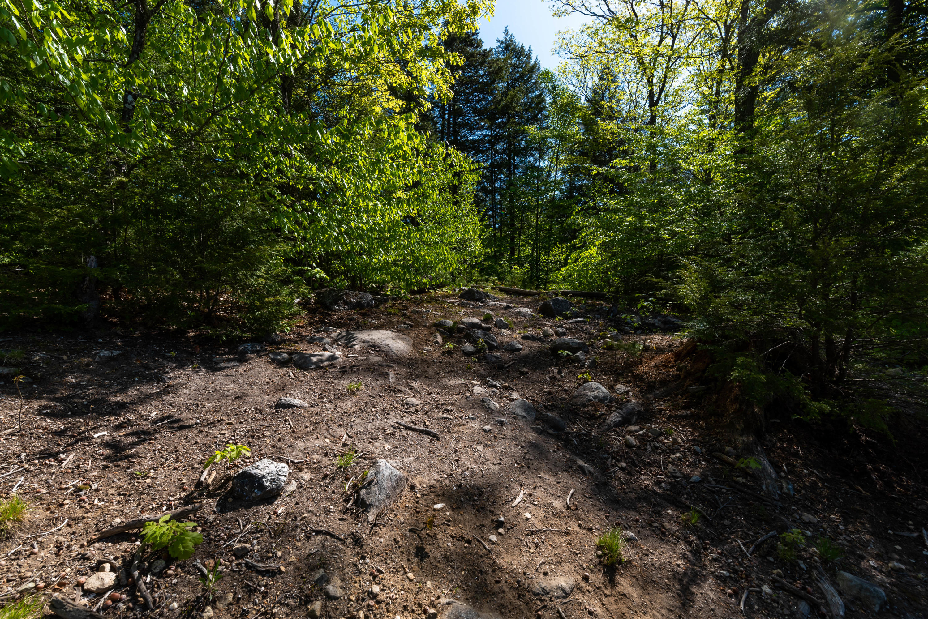 179 Chatham Road Stow, ME 04037 - Photo 28 of 28 179 Chatham back yard trail