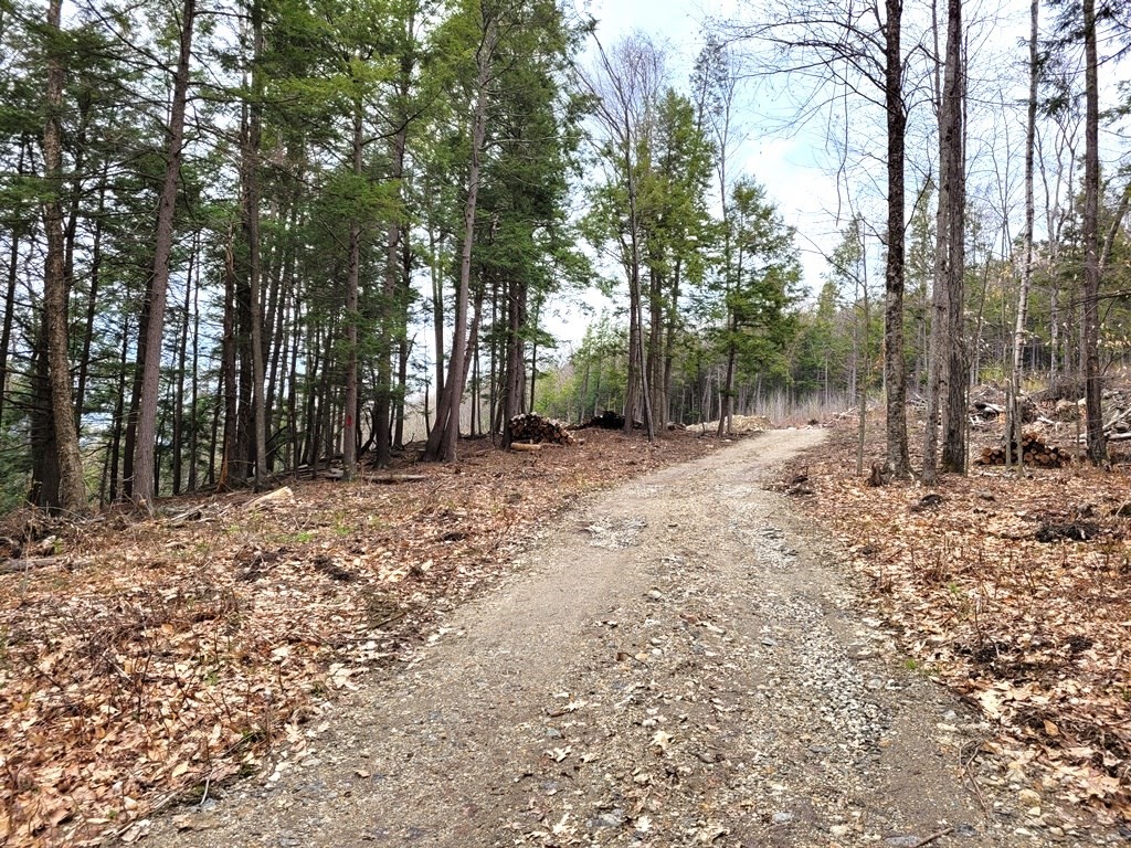 Lot 2 County Road Huntington, MA 01050 - Photo 4 of 5