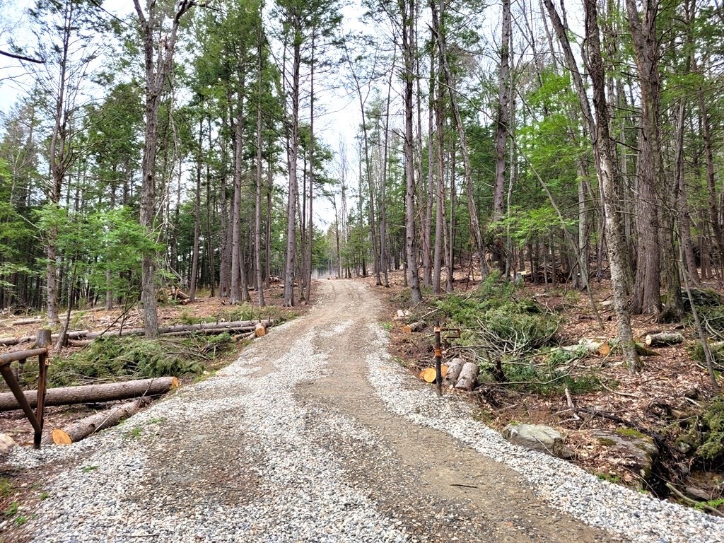 Lot 2 County Road Huntington, MA 01050 - Photo 5 of 5