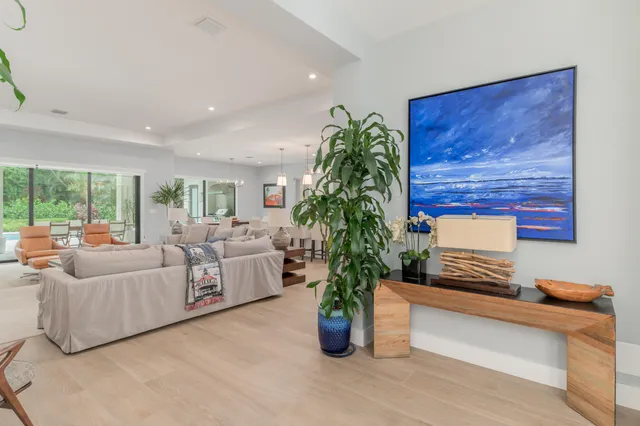 a living room with furniture and a potted plant