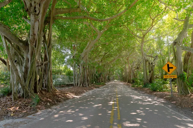 a view of a lake with houses in the back