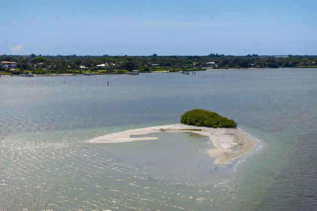 a view of a lake with a city