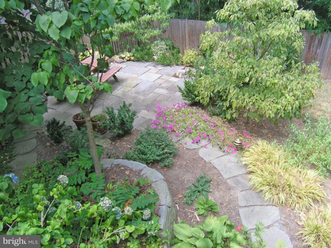 1705 Noyes Lane Silver Spring, MD 20910 - Photo 16 of 30 a view of a garden with plants