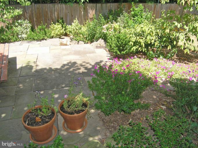 1705 Noyes Lane Silver Spring, MD 20910 - Photo 10 of 30 a view of a garden with a patio