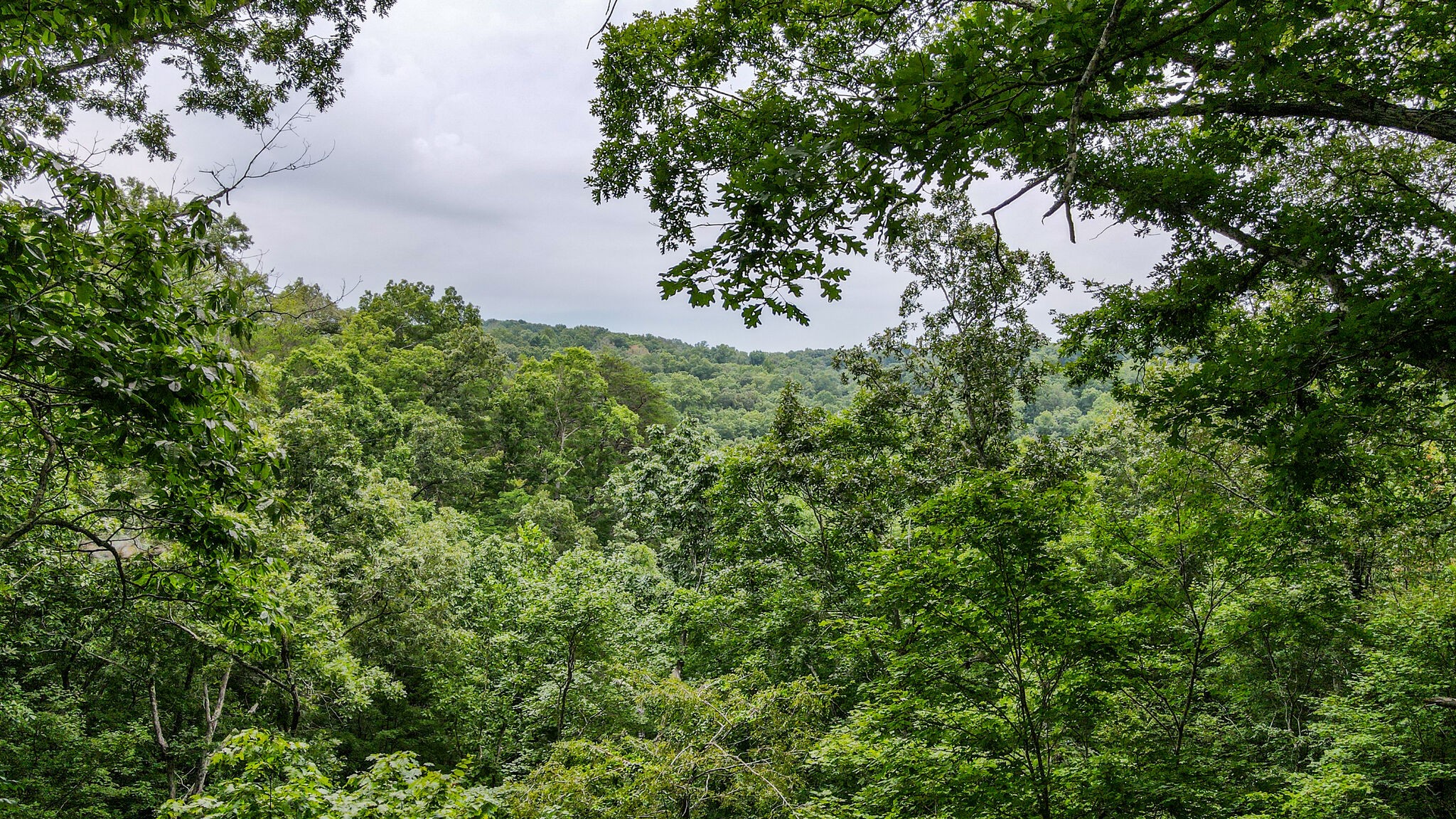 2119 Griffintown Road White Bluff, TN 37187 - Photo 22 of 26 Gallery Image 22