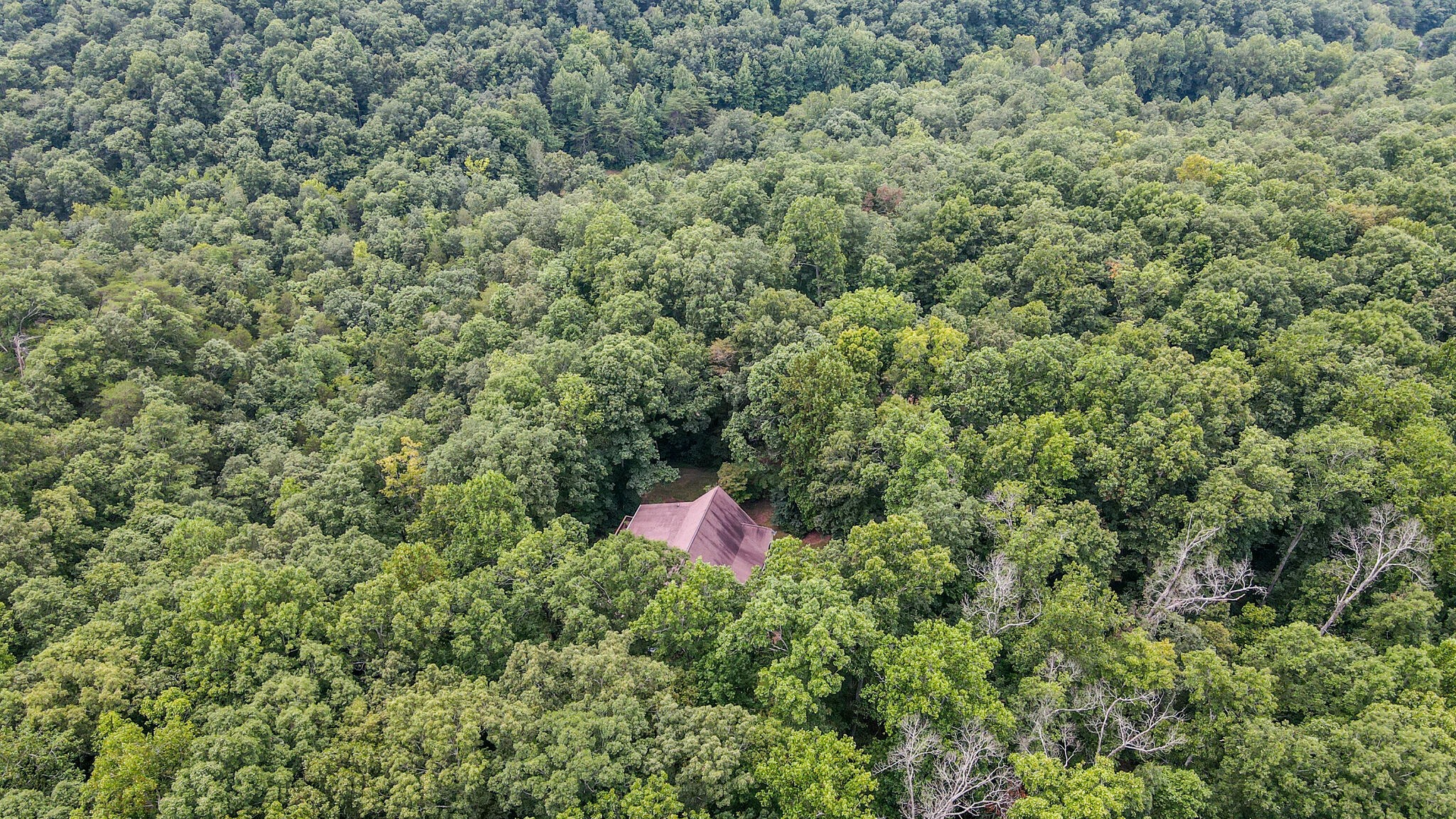 2119 Griffintown Road White Bluff, TN 37187 - Photo 4 of 26 Gallery Image 4