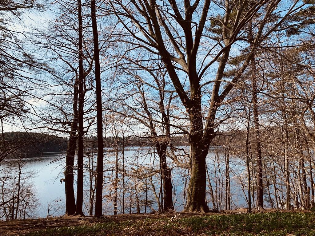 11 Gage Road Wayland, MA 01778 - Photo 1 of 25 Gallery Image 1