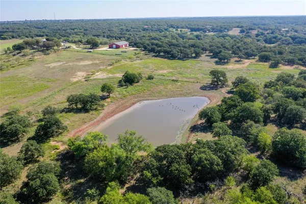 an aerial view of ocean and trees