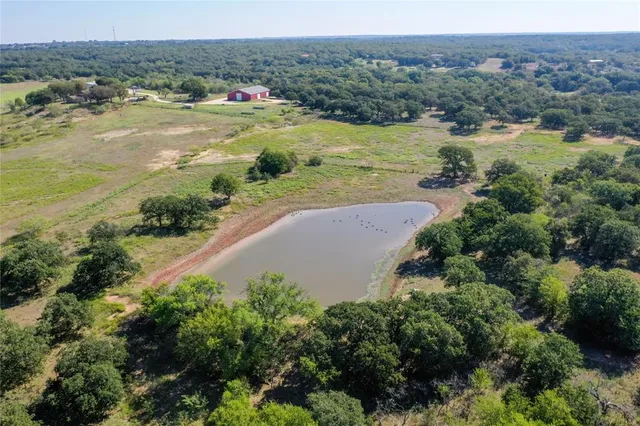an aerial view of ocean and trees