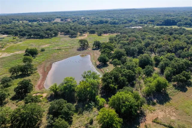 an aerial view of green landscape with trees houses and lake view
