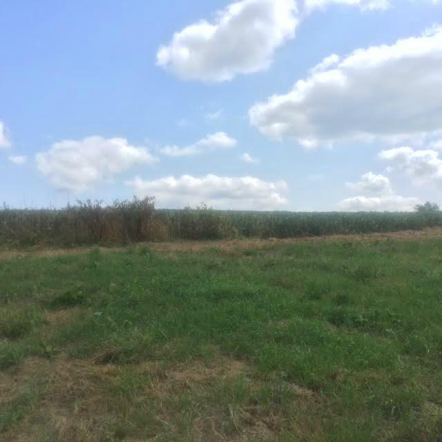 9653 Mulberry Road Mount Perry, OH 43760 - Photo 2 of 2 Gallery Image 2
