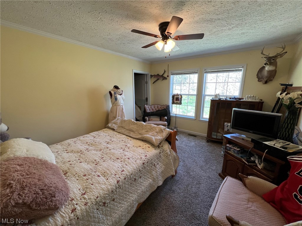 2575 Meadow Run Road Orma, WV 25268 - Photo 25 of 28