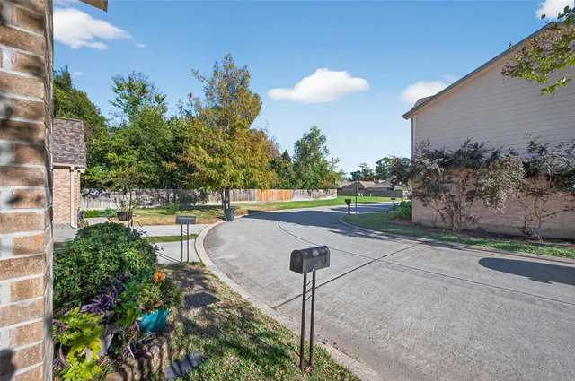a view of a yard with a large tree