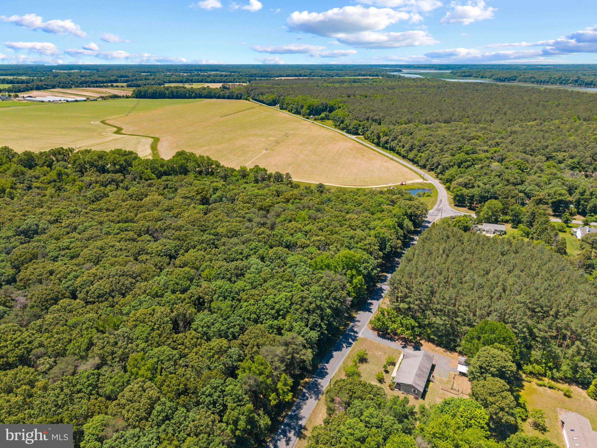 23116 Gilpin Point Road Preston, MD 21655 - Photo 53 of 66 Property nestled near farmland.