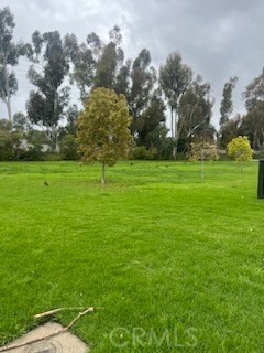 48 Clearbrook, Unit 56 Irvine, CA 92614 - Photo 5 of 6 a backyard of a house with lots of green space