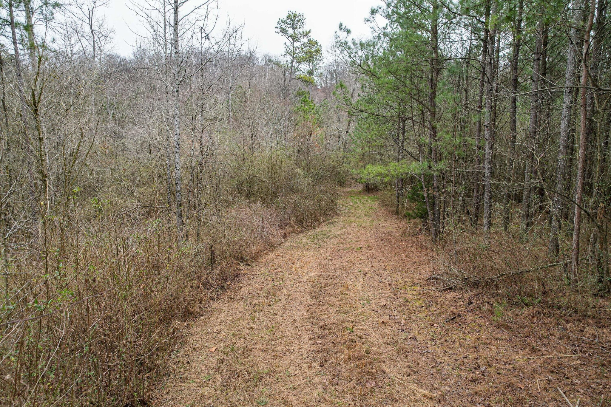 156 Henderson Road Trion, GA 30753 - Photo 20 of 34 Gallery Image 20
