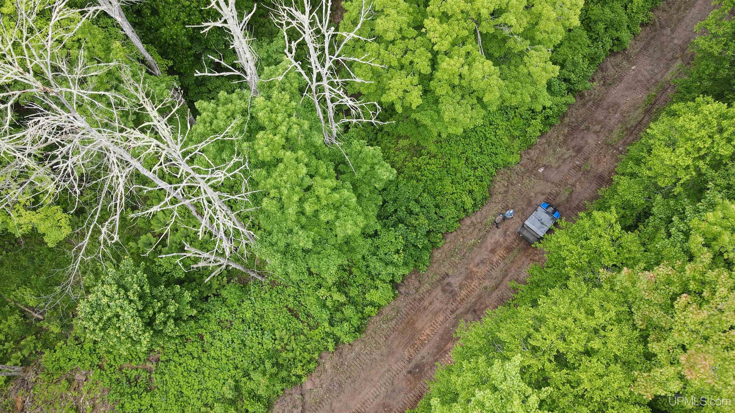 Tbd Donken-Tapiola Road Toivola, MI 49965 - Photo 11 of 12