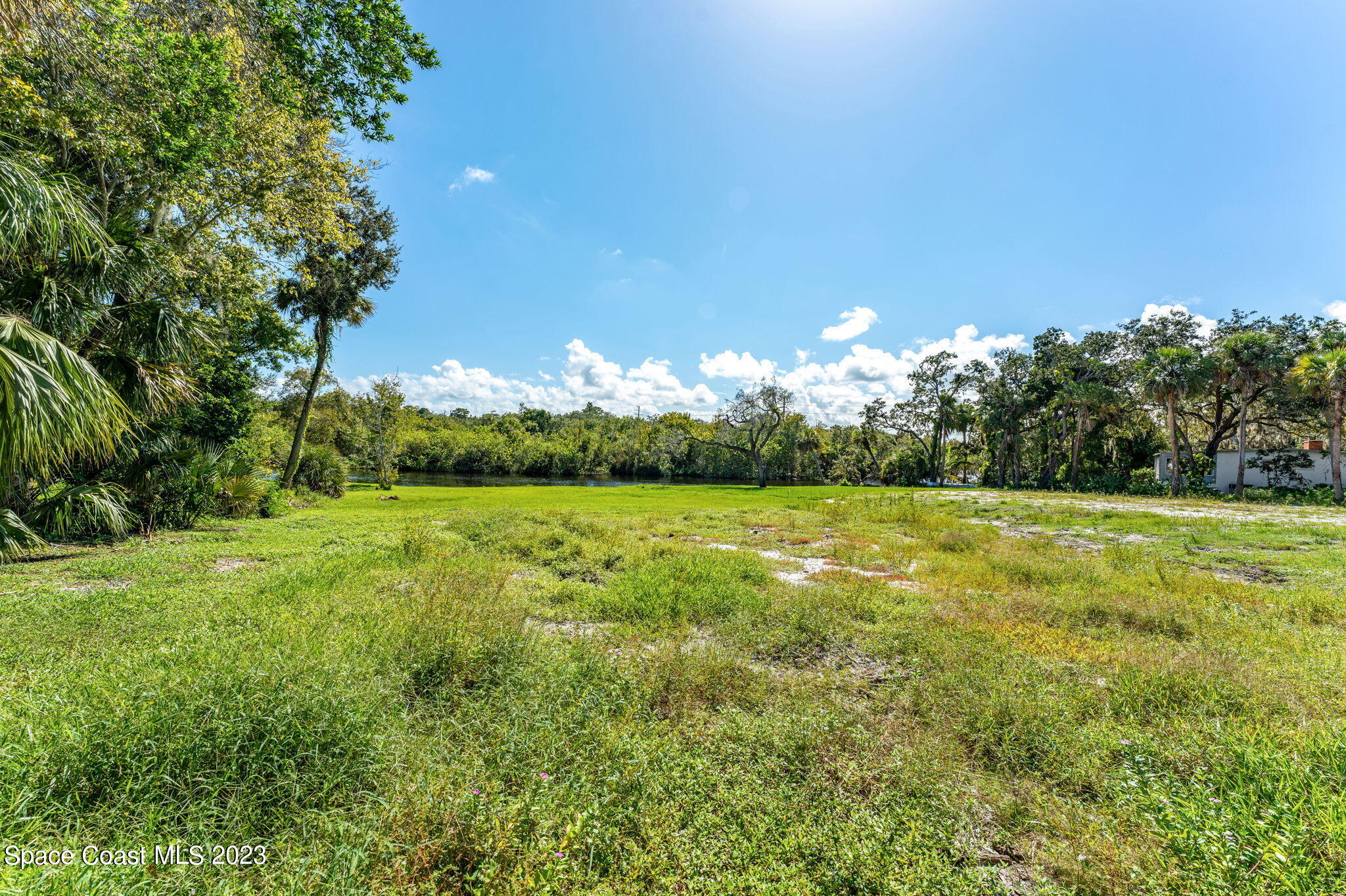 409 Roxy Avenue Melbourne, FL 32901 - Photo 24 of 31 a view of a yard with an trees