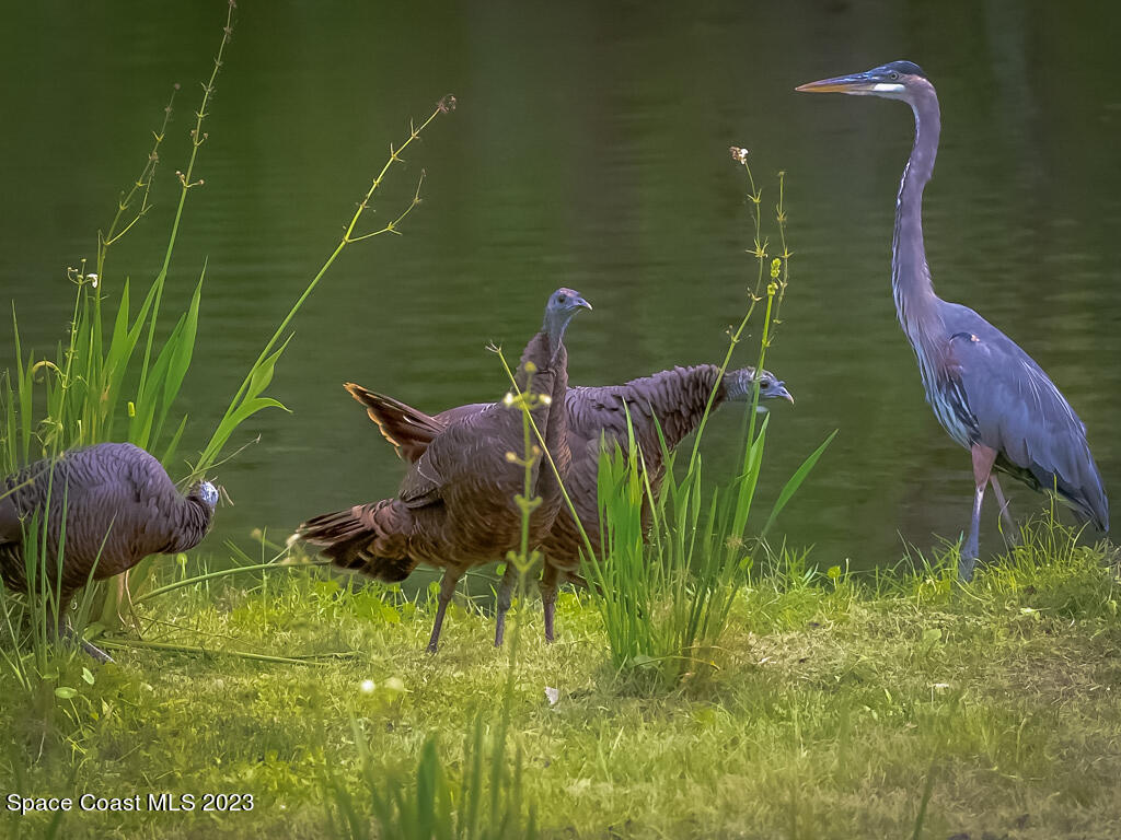 409 Roxy Avenue Melbourne, FL 32901 - Photo 26 of 31 a view of statue in a garden