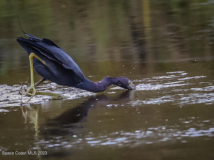 409 Roxy Avenue Melbourne, FL 32901 - Photo 27 of 31