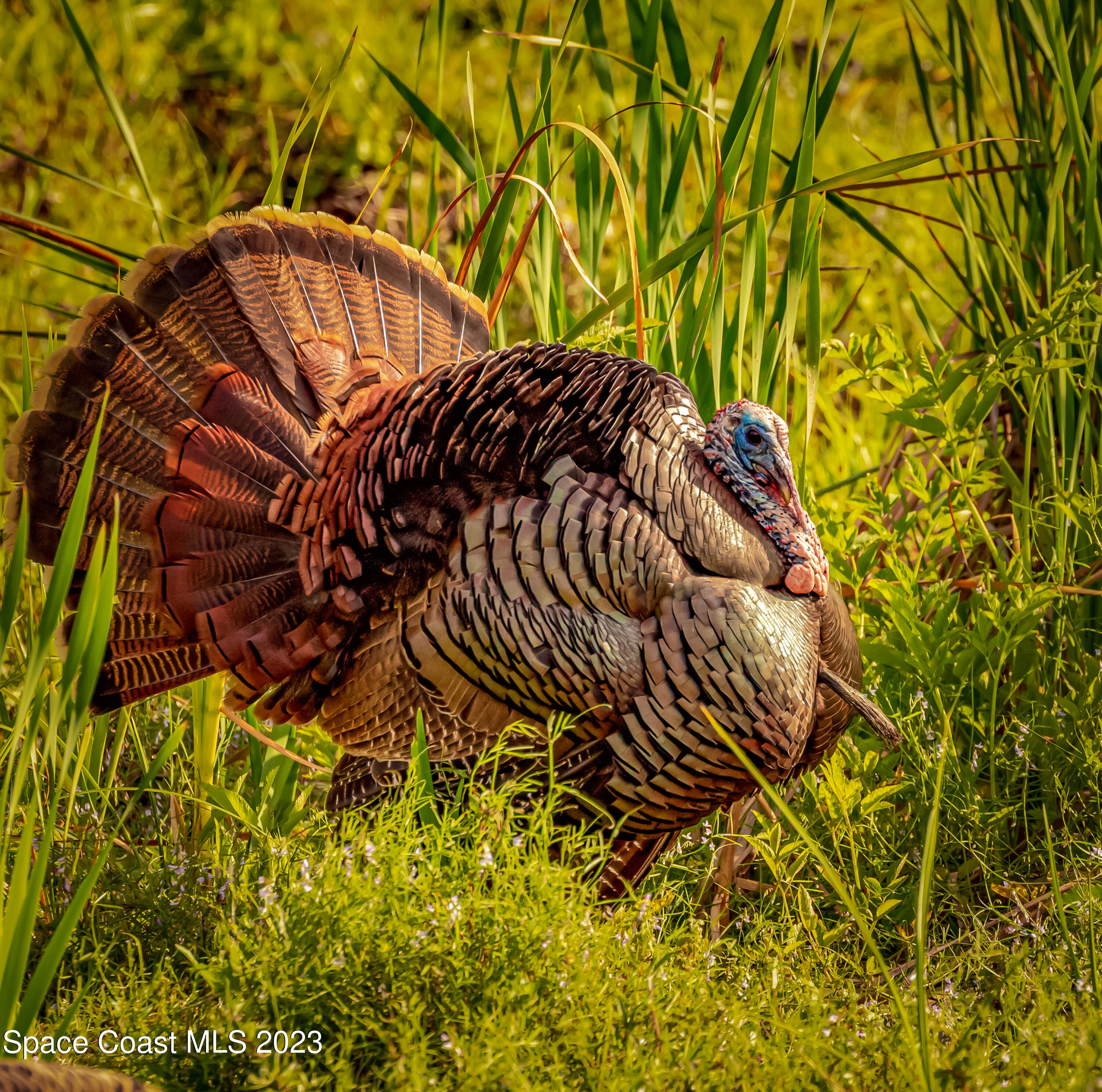 409 Roxy Avenue Melbourne, FL 32901 - Photo 30 of 31 a view of painting on the wall of a building