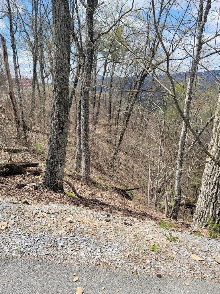 0 Coopers Hawk Way Sevierville, TN 37862 - Photo 9 of 11