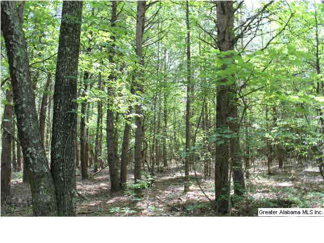 793 County Road, Unit 460 Centre, AL 35960 - Photo 3 of 11