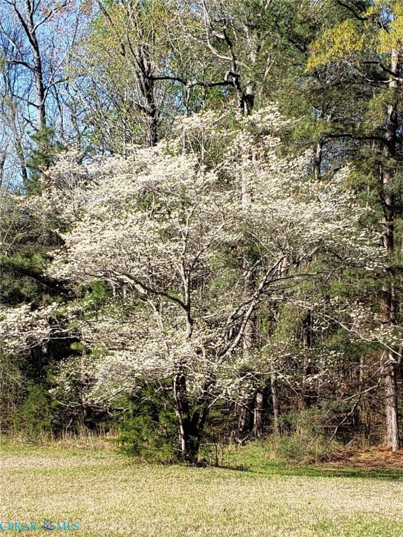 1218 Cheaneys Bridge Road Dunnsville, VA 22454 - Photo 50 of 50