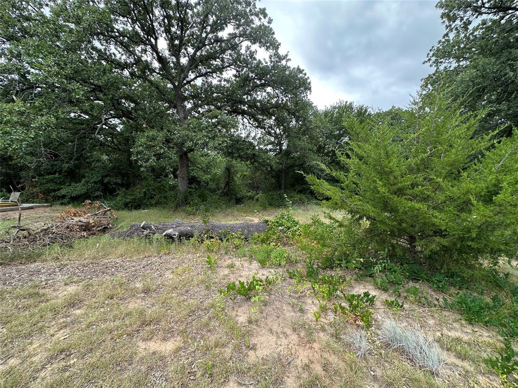 176 Live Oak Road Springtown, TX 76082 - Photo 8 of 29