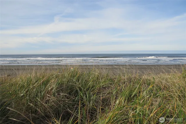 a view of an ocean beach