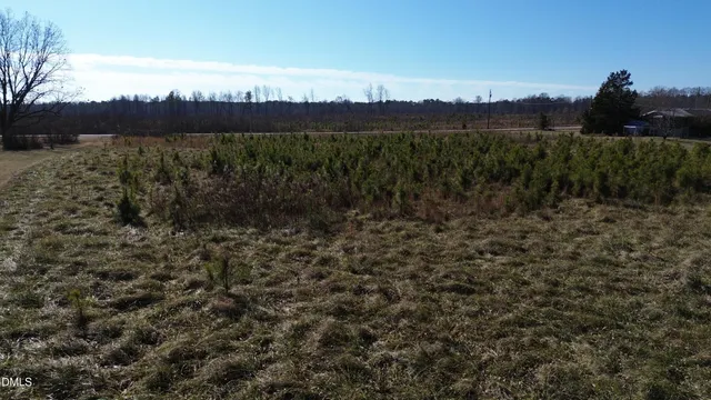 a view of a lake with a mountain in the background