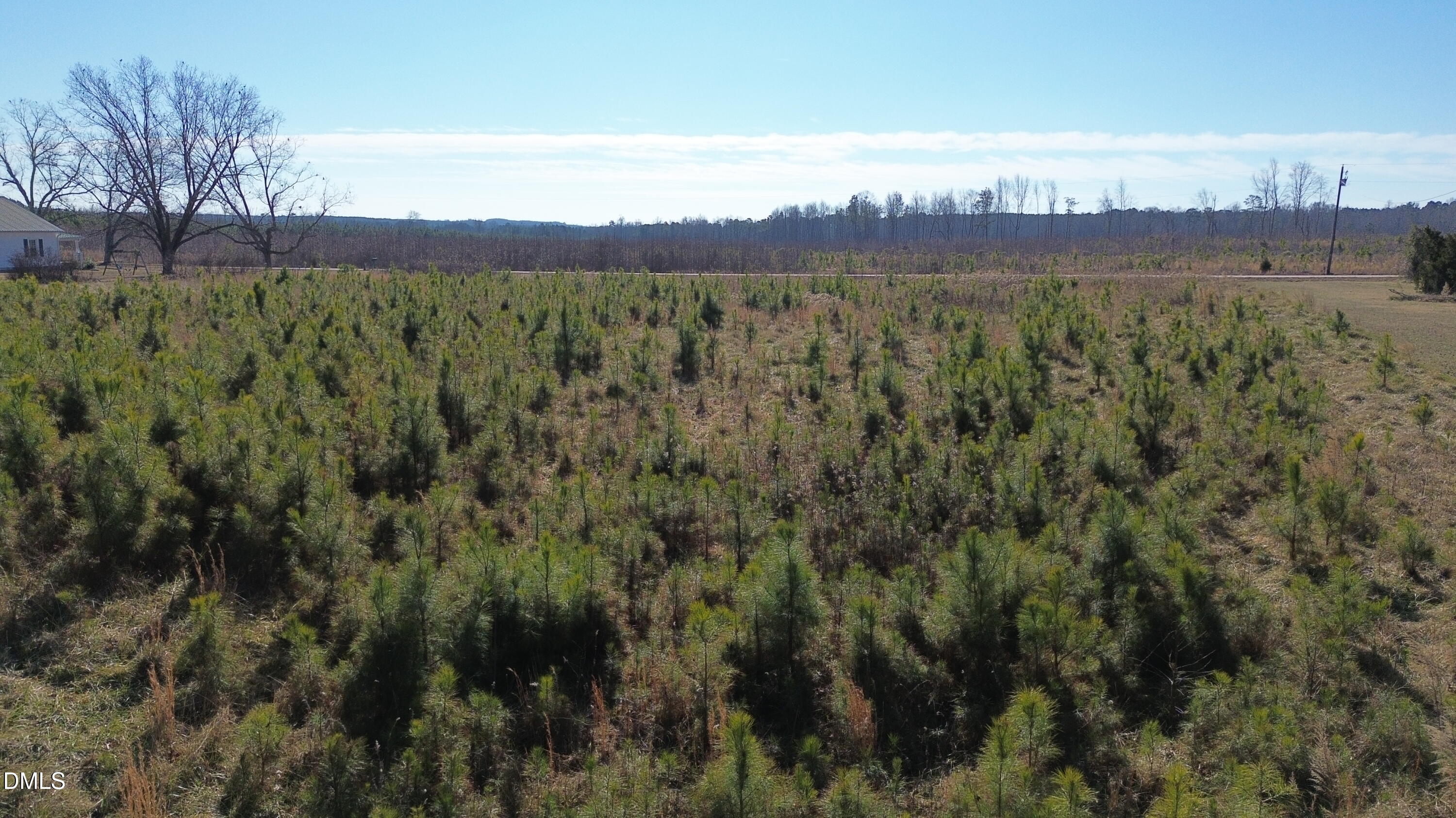 0 White Level Road Louisburg, NC 27549 - Photo 7 of 7 a view of a lake with a mountain