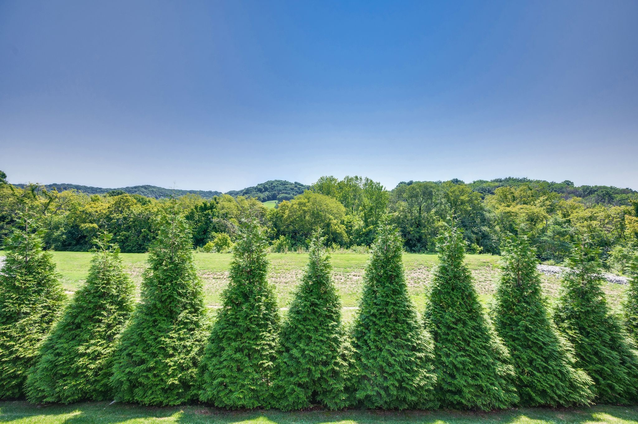 2156 Hartland Road Franklin, TN 37069 - Photo 63 of 63