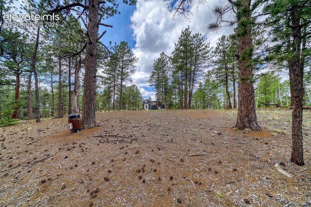 2927 Pathfinder Road Florissant, CO 80816 - Photo 32 of 37