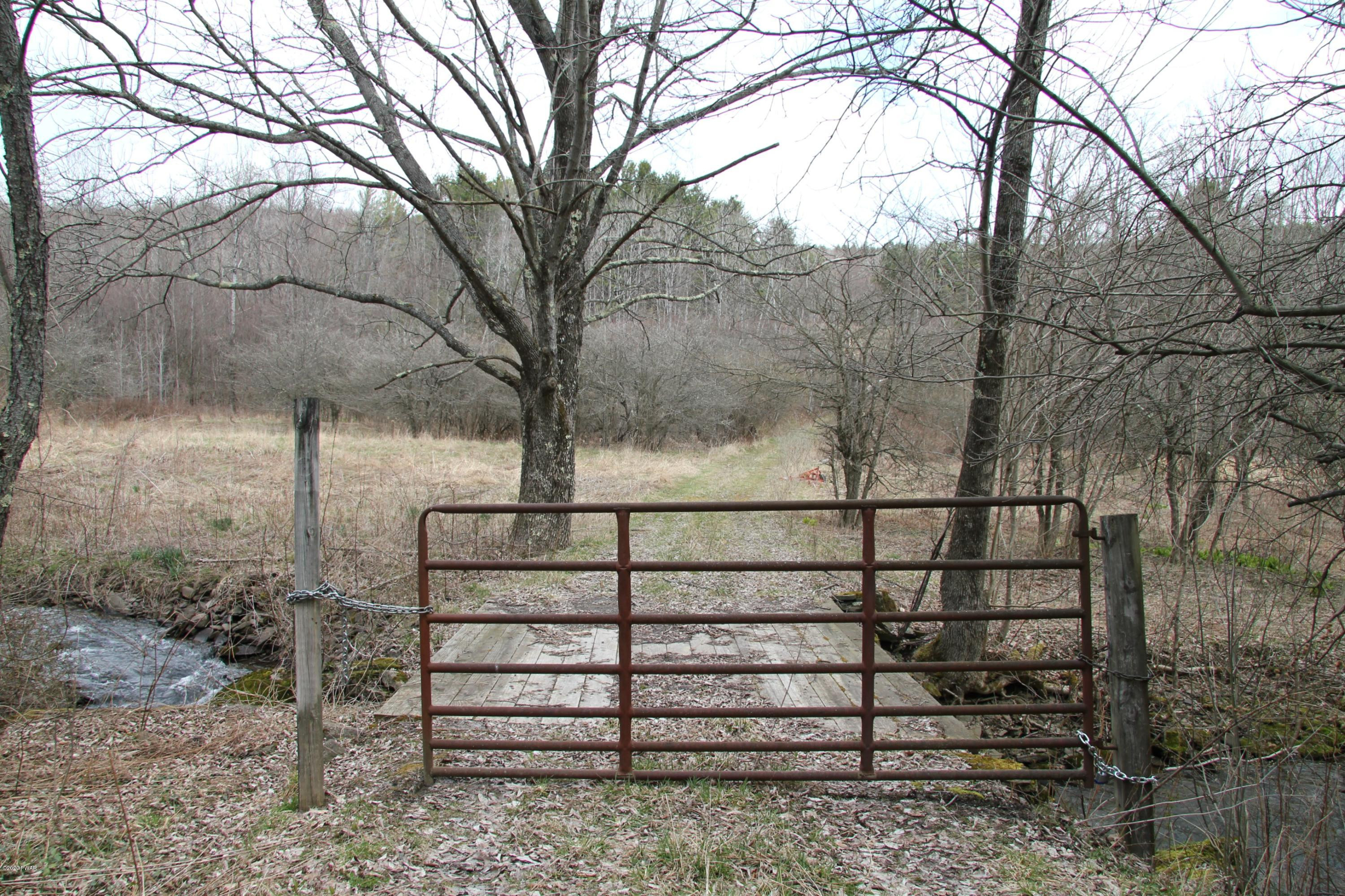 Mountain Road Susquehanna, PA 18847 - Photo 6 of 16