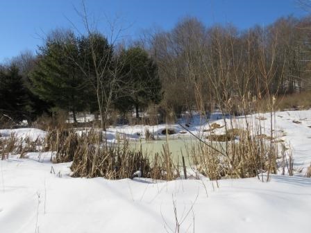 0 Eagle Rock Road Oil City, PA 16301 - Photo 12 of 14
