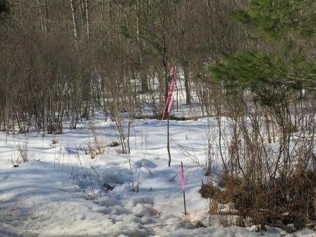 0 Eagle Rock Road Oil City, PA 16301 - Photo 14 of 14
