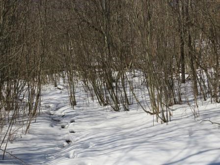0 Eagle Rock Road Oil City, PA 16301 - Photo 7 of 14