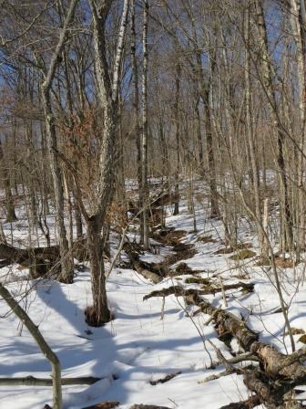 0 Eagle Rock Road Oil City, PA 16301 - Photo 8 of 14