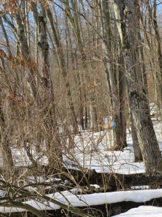 0 Eagle Rock Road Oil City, PA 16301 - Photo 9 of 14