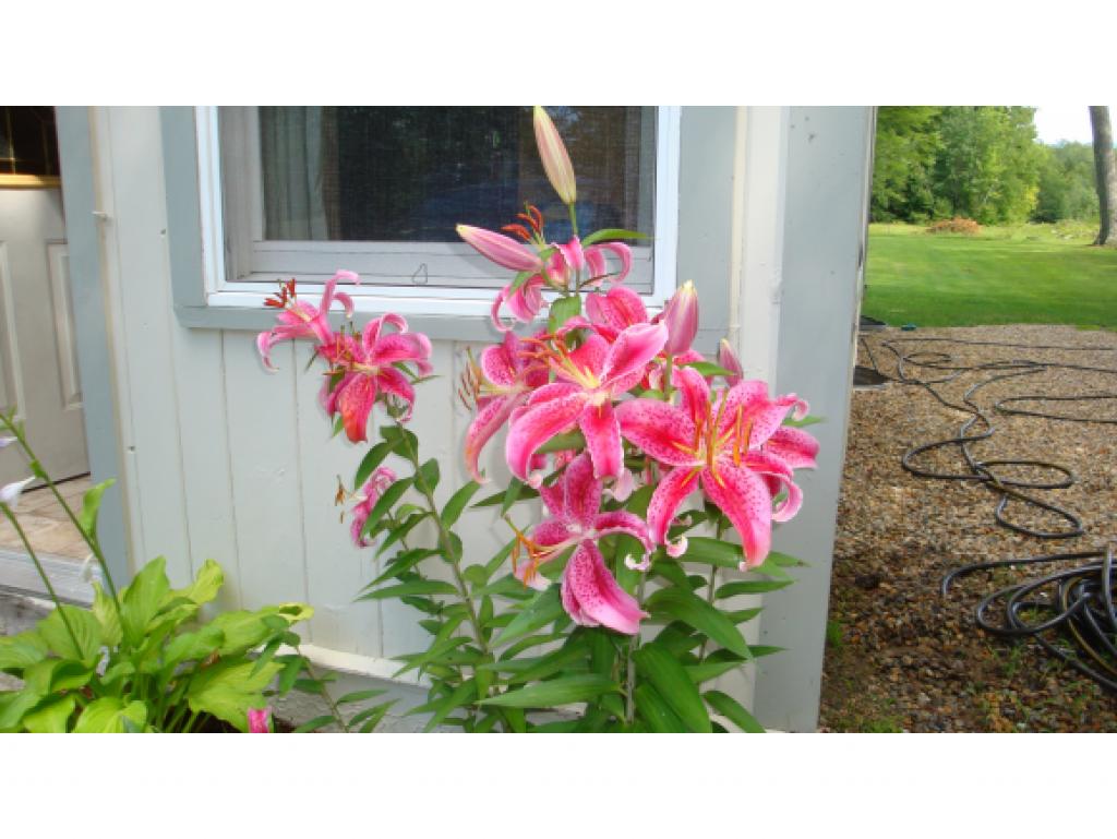 68 North Sandwich Road Sandwich, NH 03227 - Photo 17 of 28 Gallery Image 17