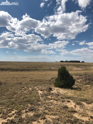 Jacobson Road Rush, CO 80833 - Photo 10 of 18 Gallery Image 10