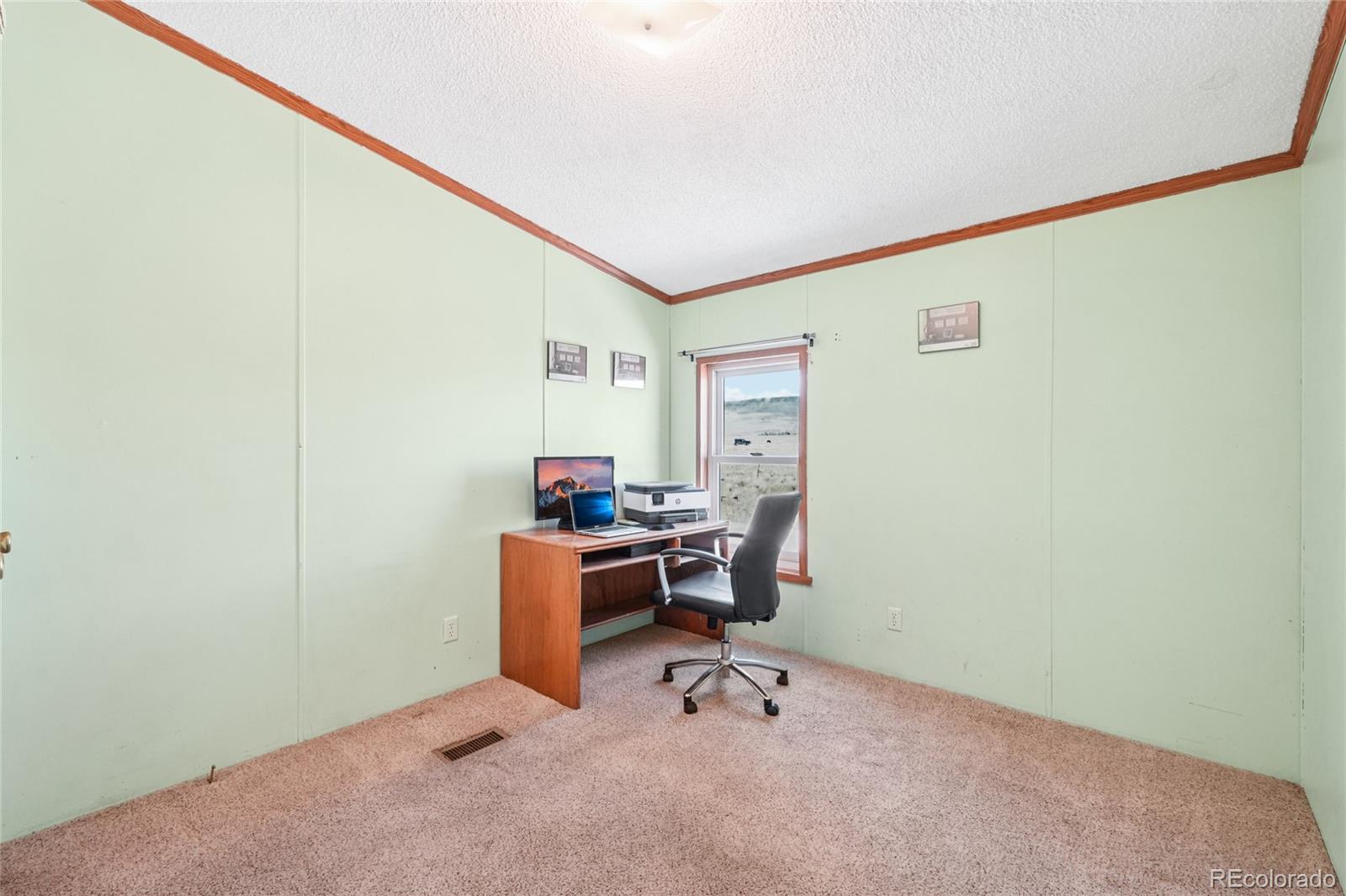265 Trout Road Fairplay, CO 80440 - Photo 24 of 39 Gallery Image 24