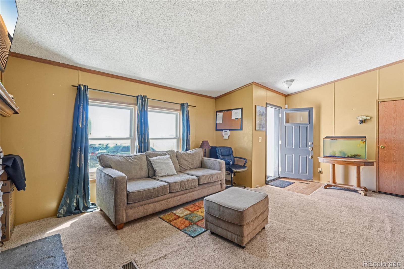 265 Trout Road Fairplay, CO 80440 - Photo 5 of 39 Gallery Image 5