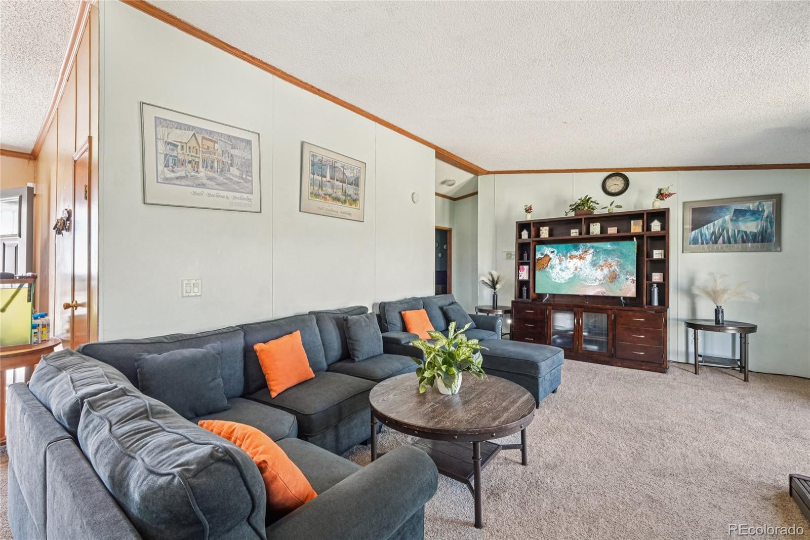 265 Trout Road Fairplay, CO 80440 - Photo 7 of 39 Gallery Image 7