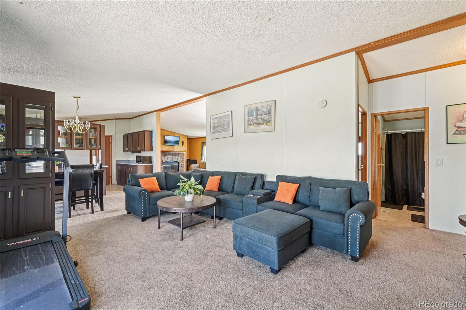 265 Trout Road Fairplay, CO 80440 - Photo 8 of 39 Gallery Image 8
