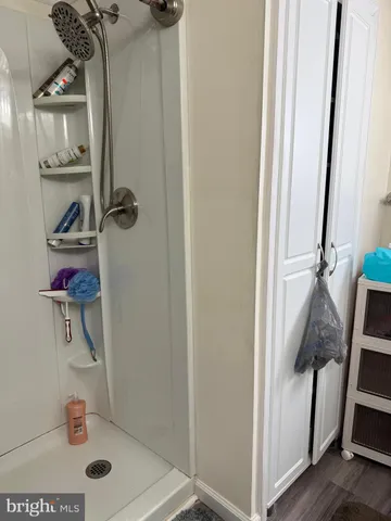 a bathroom with a shower and a sink