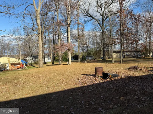 a view of road with large trees