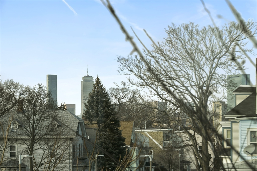 47 Sargent Street, Unit 3 Boston, MA 02125 - Photo 42 of 42 a backyard of a house with lots of green space