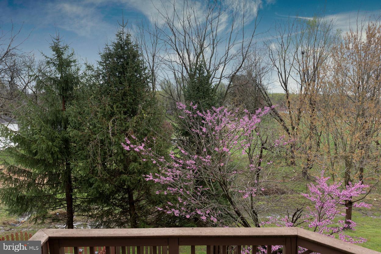 137 Carolstowne Road Reisterstown, MD 21136 - Photo 32 of 35 Gallery Image 32